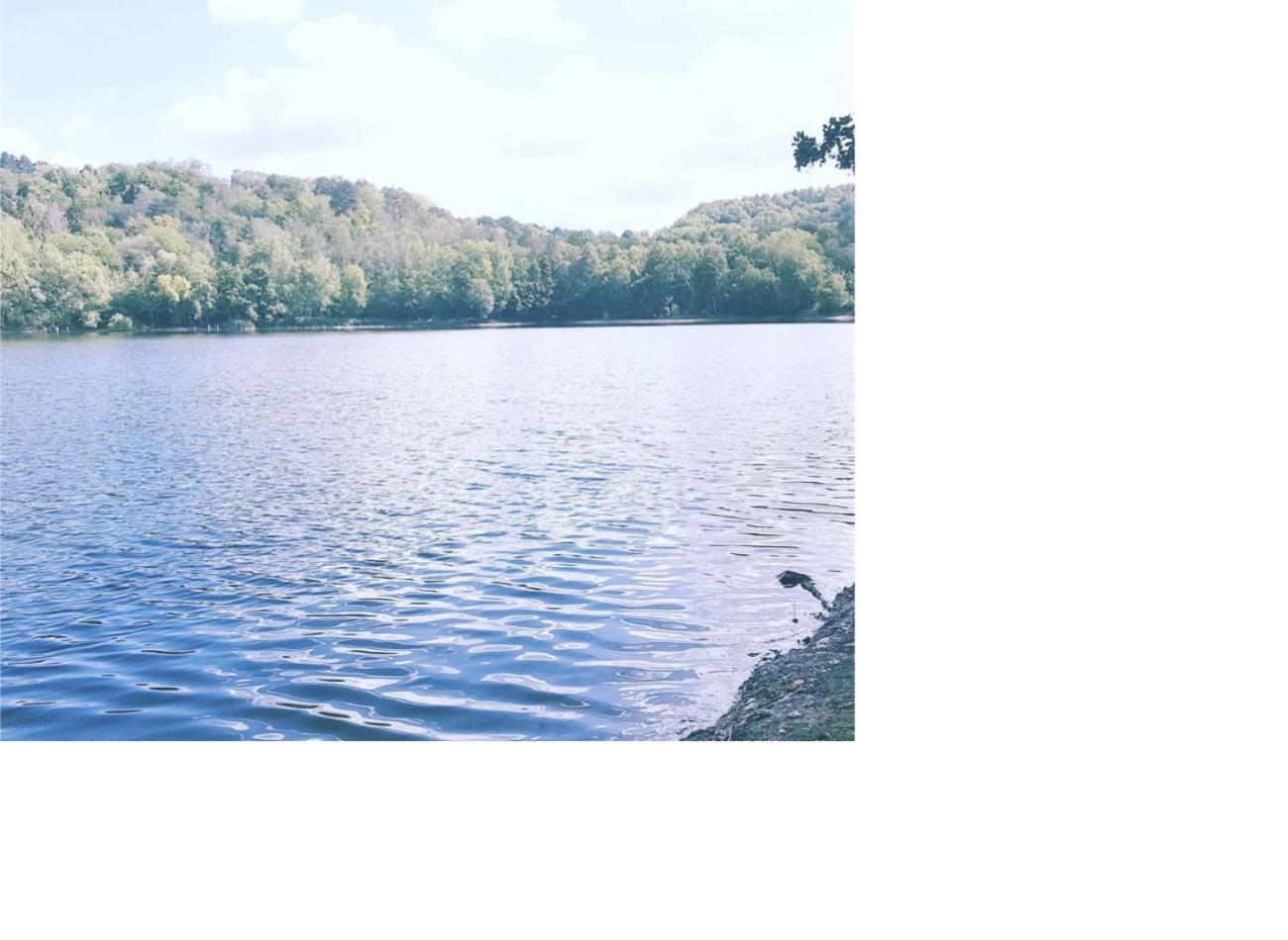 Natur Pur Frielendorf Екстериор снимка