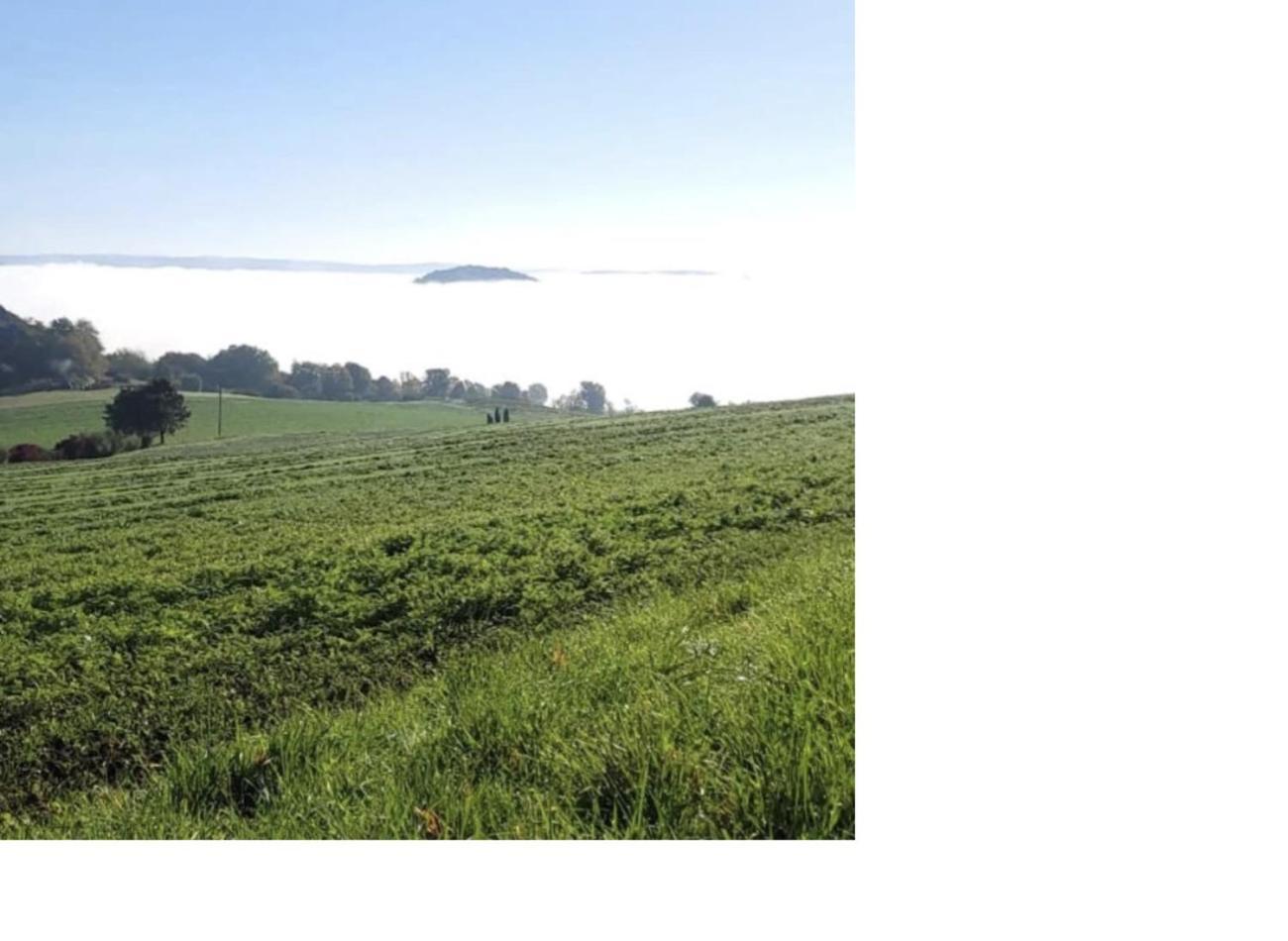 Natur Pur Frielendorf Екстериор снимка