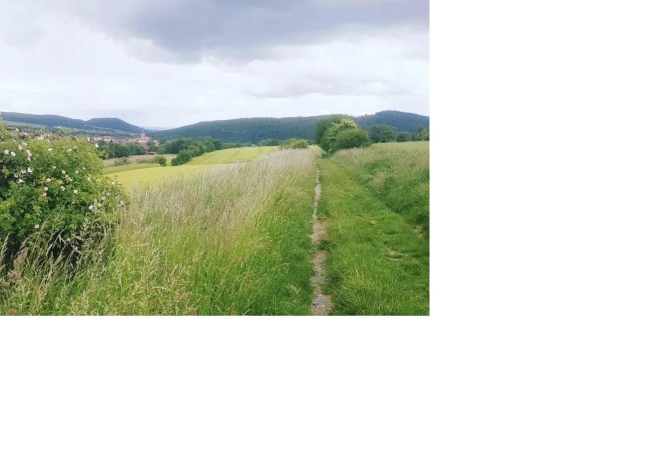 Natur Pur Frielendorf Екстериор снимка